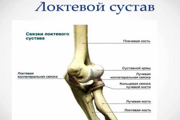 osteoartritas gydymas reiterio sąnarių liga
