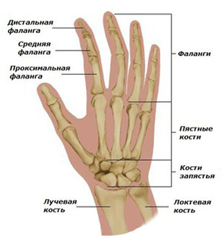 rankų riešo skausmas