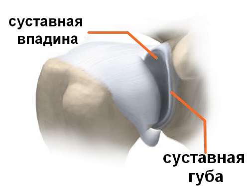 tradicinių gydymo metodai artrito jungčių jungtinis dėl rankų gydymui
