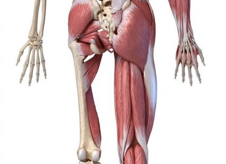 greiti priemonė sąnarių skausmas priežastys ir gydymas artrozė kojų