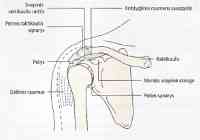 artrozė uždegimas sustav