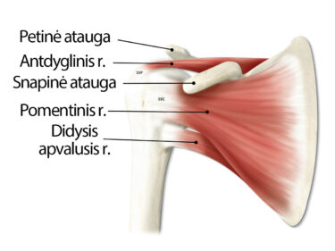 iš to ką atsitinka artrito rankas kas yra elgiamasi su alkūnės sąnario artritas