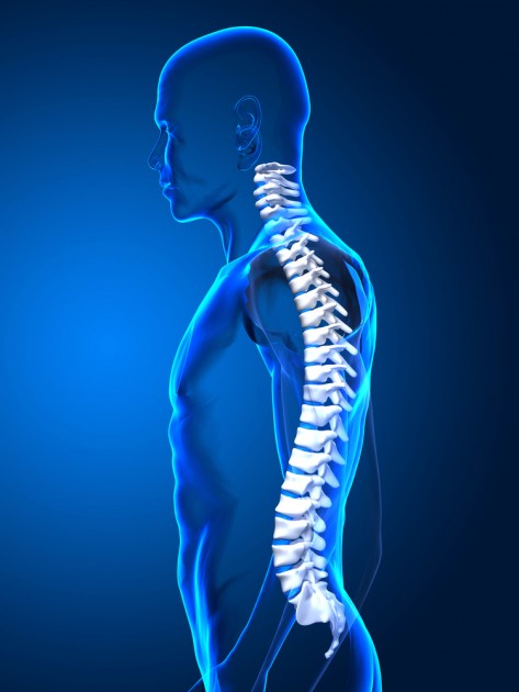 nuolatiniai skausmai nugaros ir sąnarių ligos triušių sąnarių