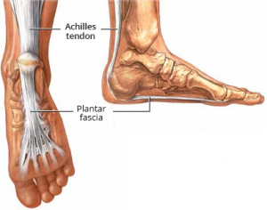 skausmas pėdos sąnariuose ką daryti jei į rankas sąnariai kenkia ir alkūnės